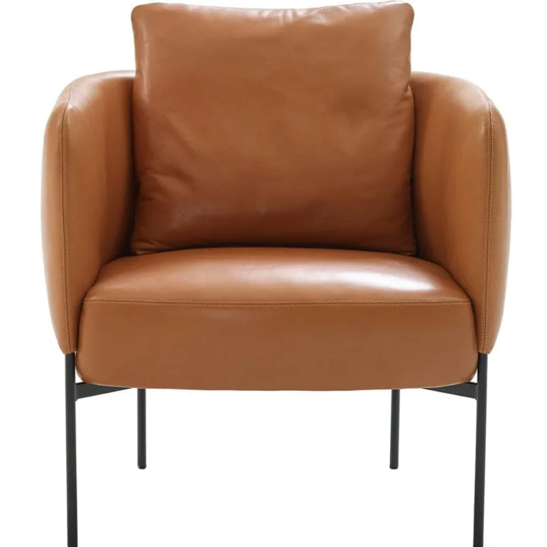 Adea Bonnet Club lounge chair, aniline leather