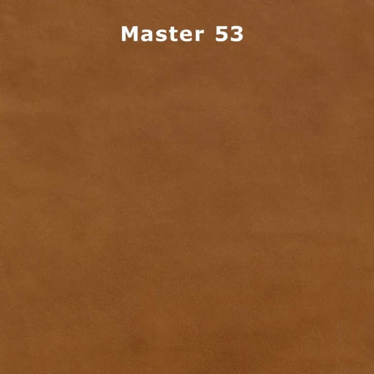 Adea Bonnet Club lounge chair, aniline leather