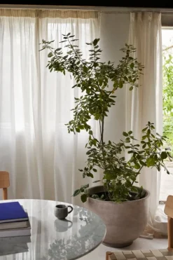 &Tradition Betty TK1 chair, oak - natural webbing