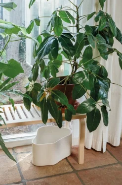 Artek Aalto bench 153A, birch