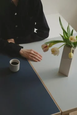 Artek Aalto foldable table DL81C, birch -vapour/smokey blue linoleum