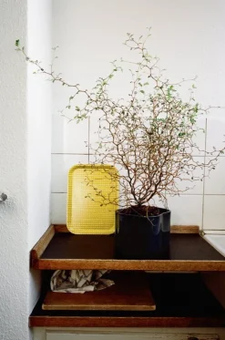 Artek Rivi tray, 43 x 33 cm, mustard - white