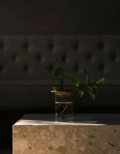 Audo Copenhagen Cresco propagation vase, 2 pcs