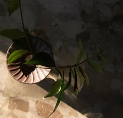 Audo Copenhagen Cresco propagation vase, 2 pcs