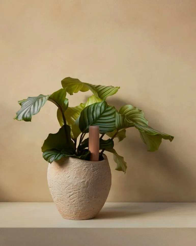 Audo Copenhagen Hydrous watering stick, 36 cm, 2 pcs