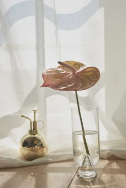 AYTM Globe flower mister, gold