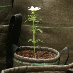 Bacsac Fabric pot, 100 L, geotextile