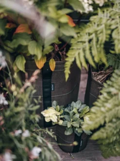 Bacsac Hanging fabric pot, 3 L, geotextile