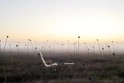 Carl Hansen & Søn BM5768 Deck chair footstool, teak - off-white