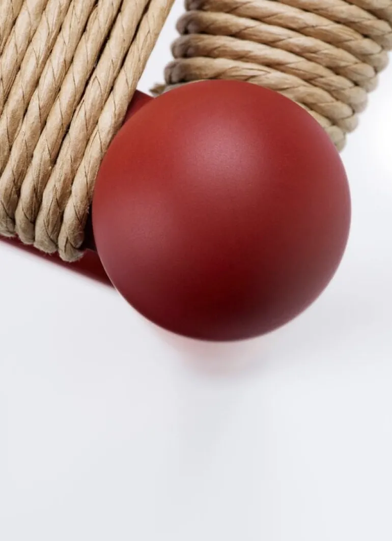 Carl Hansen & Søn CH24 Wishbone chair, soft red brown - natural cord