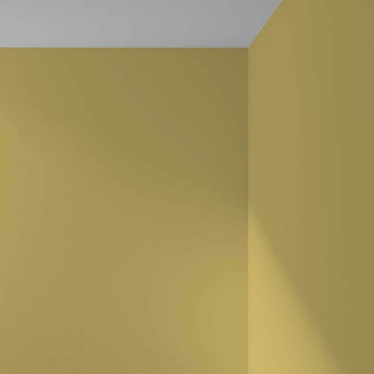 Cover Story Cover Story x Iittala interior paint, 3,6 L, i02 TOINI