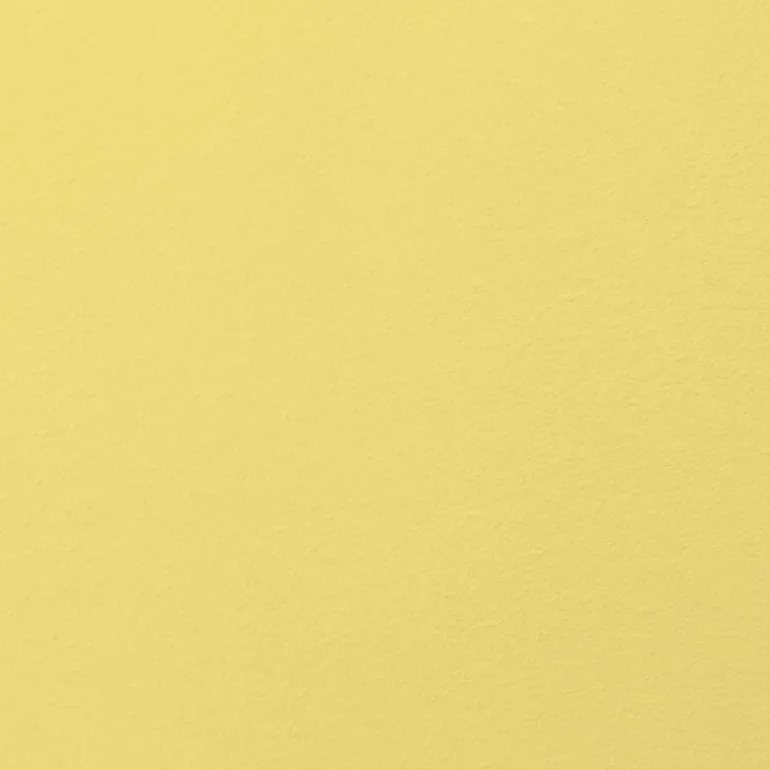 Cover Story Cover Story x Iittala interior paint, 3,6 L, i02 TOINI