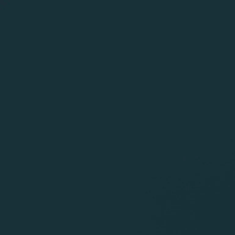 Cover Story Cover Story x Iittala interior paint, 3,6 L, i04 OLAVI