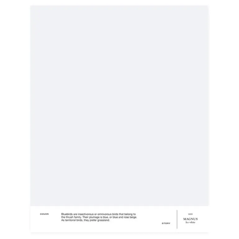 Cover Story Interior paint, 9 L, 003 MAGNUS - ice white