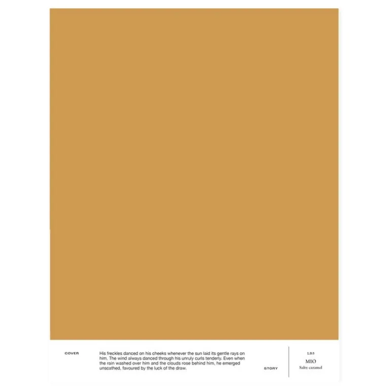 Cover Story Interior paint, 3,6 L, LB3 MIO - salty caramel