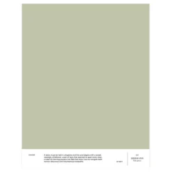 Cover Story Interior paint, 9 L, 027 HERMANN - pale green