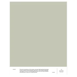 Cover Story Interior paint, 9 L, 027 HERMANN - pale green