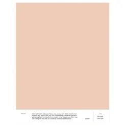 Cover Story Interior paint, 3,6 L, LB5 EDITH - dusty pink