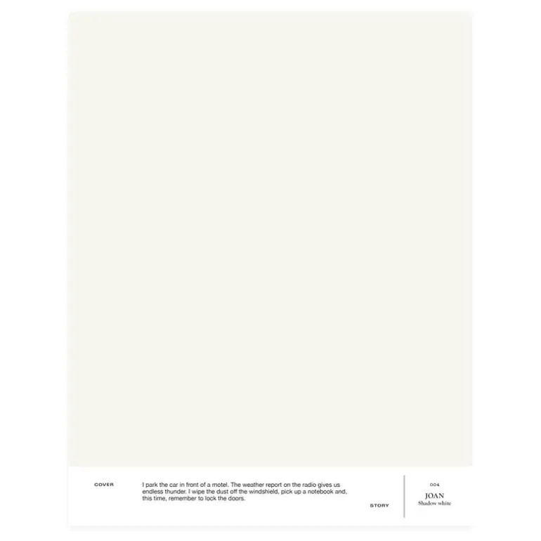 Cover Story Interior paint, 9 L, 004 JOAN - shadow white