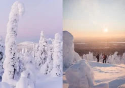 Cozy Publishing Food Over the Campfire - Recipes for Day Hikes and Wilderness Treks