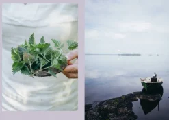 Cozy Publishing Four Seasons of Cabin Cooking