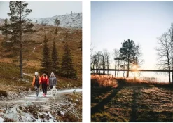 Cozy Publishing Recipes and Unforgettable Experiences: Lapland’s 8 Seasons