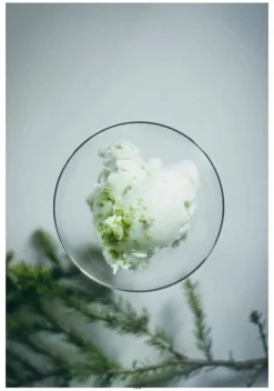 Cozy Publishing Recipes and Unforgettable Experiences: Lapland’s 8 Seasons