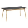 FDB Møbler C35B dining table, 160 x 82 cm, oak - black linoleum