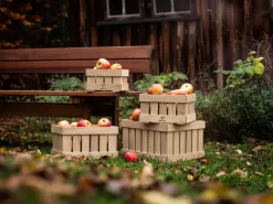 FDB Møbler X1 apple box, size 2, oak