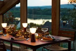 Fermob Swiing portable table lamp, 20 cm, black cherry