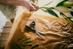 Fiskars Functional Form ReNew gardening scissors, 21 cm, black