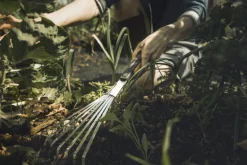 Fiskars Xact hand rake