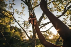 Fiskars X-Series bypass pruner L, P961