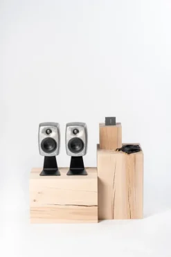 Genelec G Two (B) active speaker, RAW aluminium