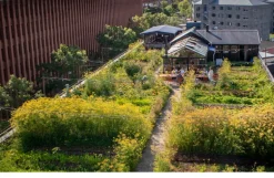 Gestalten Urban Farmers: The Now (and How) of Growing Food in the City
