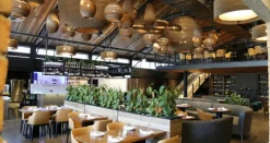 Graypants Moon24 pendant, natural