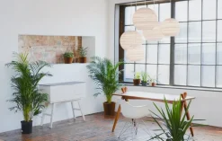 Graypants Moon14 pendant, white