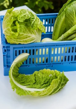 HAY Colour Crate, S, recycled plastic, electric blue