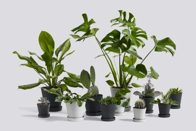 HAY Flowerpot and saucer, M, grey