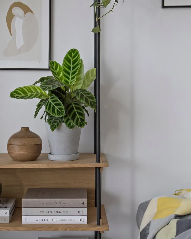 HAY Flowerpot and saucer, M, grey