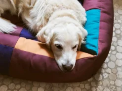 HAY HAY Dogs bed, L, burgundy - green