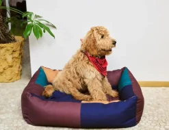 HAY HAY Dogs bed, L, burgundy - green