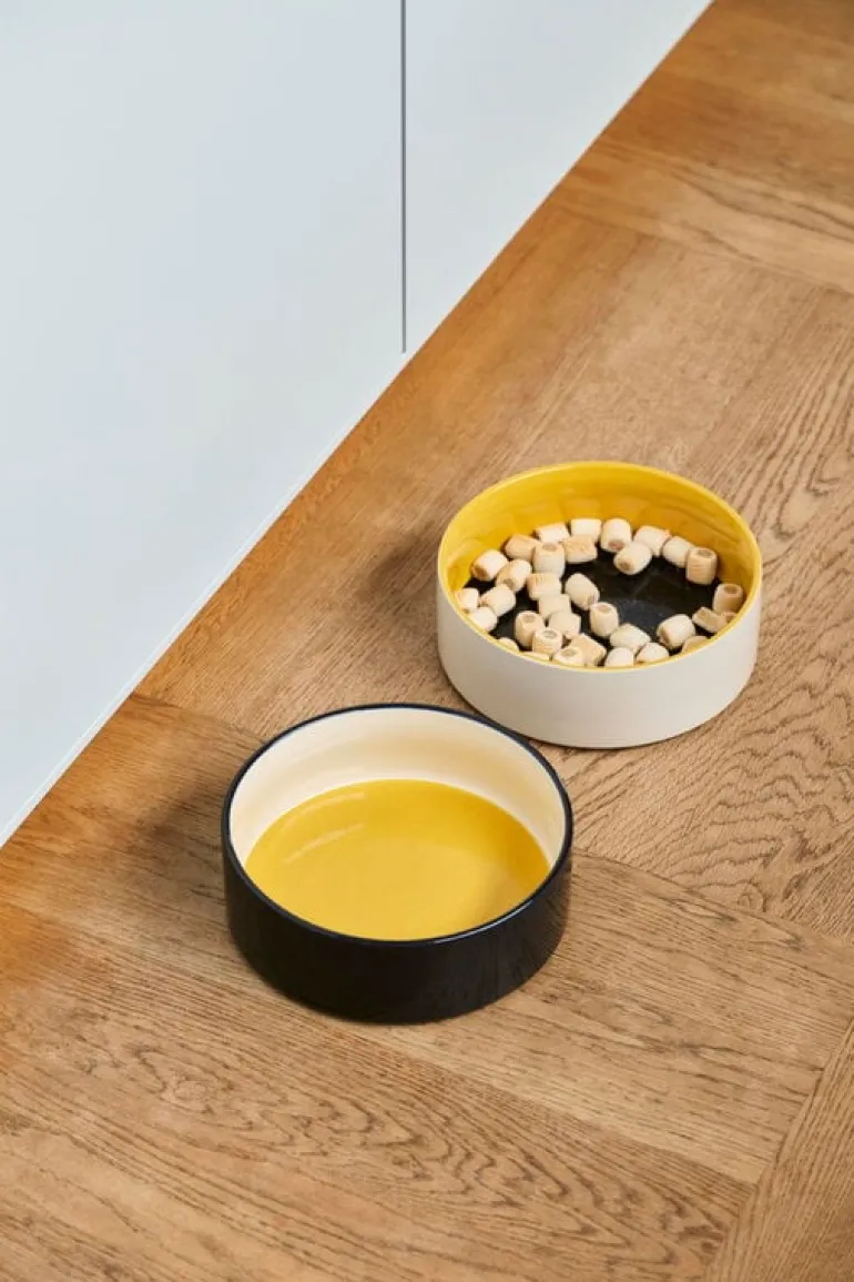 HAY HAY Dogs bowl, L, blue - yellow