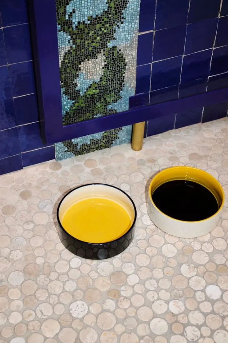 HAY HAY Dogs bowl, L, yellow - blue