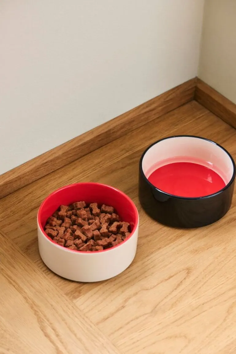 HAY HAY Dogs bowl, S, red - blue