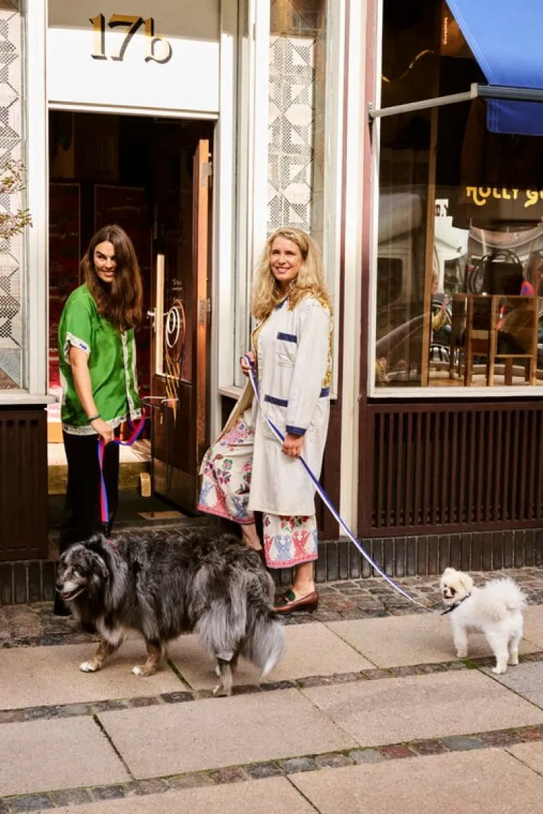 HAY HAY Dogs collar, flat, S-M, blue - off-white