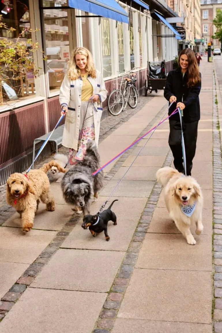 HAY HAY Dogs leash, flat, M-L, red - blue