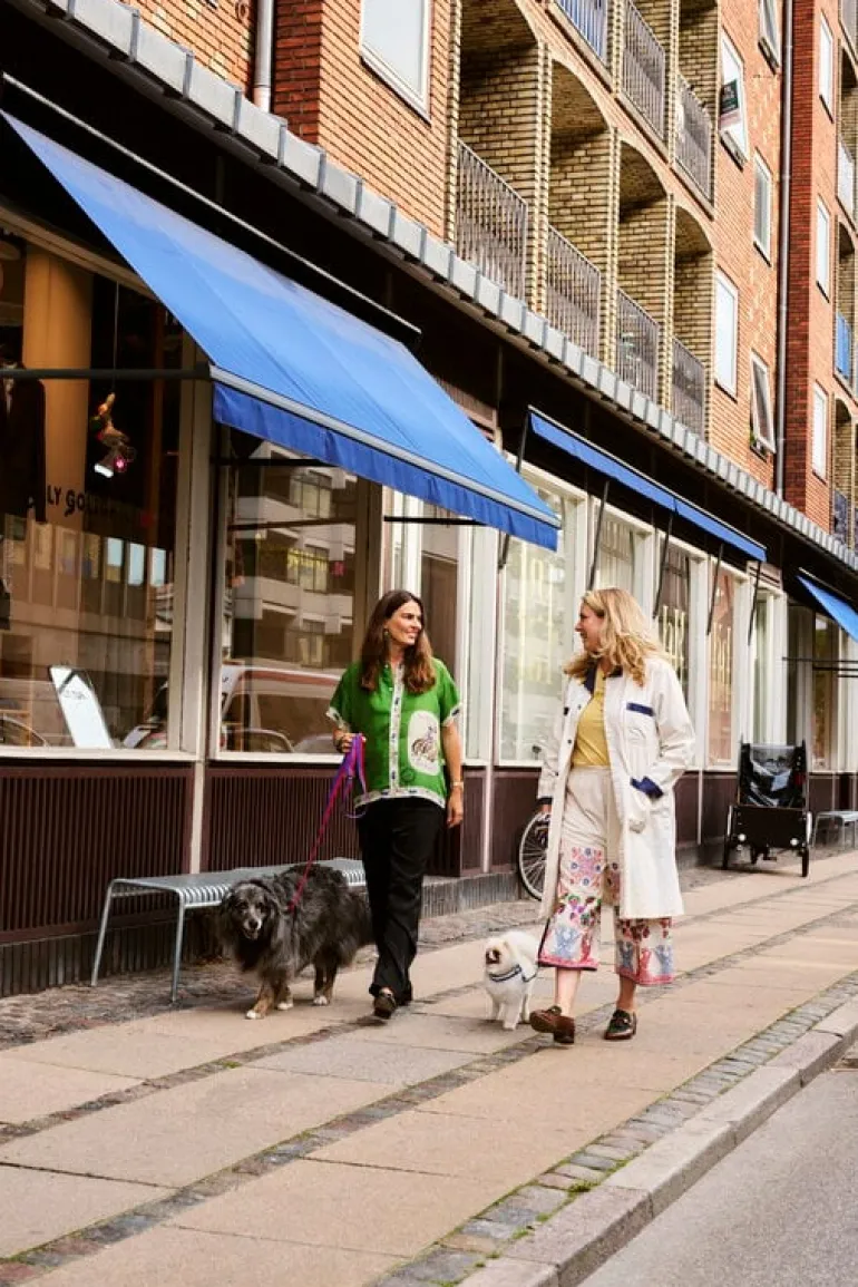 HAY HAY dogs leash, flat, M-L, lavender - green