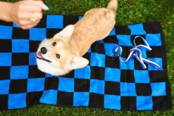 HAY HAY Dogs leash, flat, M-L, blue - off-white