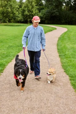 HAY HAY Dogs scarf, 55 x 55 cm, red